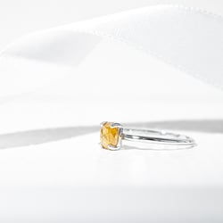 Goldener Ring mit Salt and Pepper Diamanten Reeva