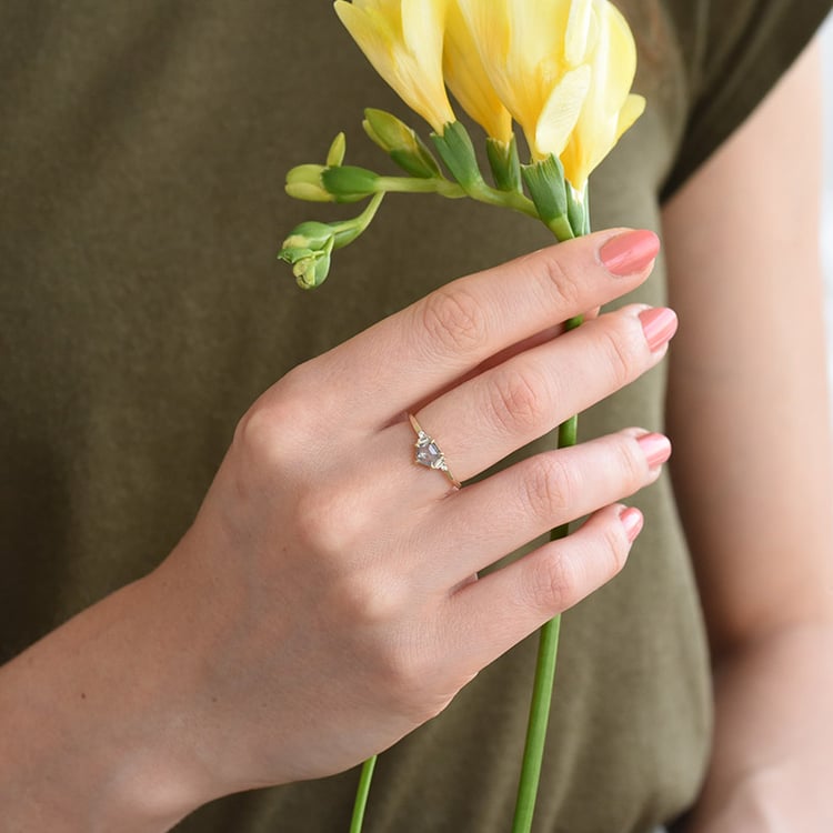 Salt and Pepper Diamant im goldenen Ring Stefan 82466