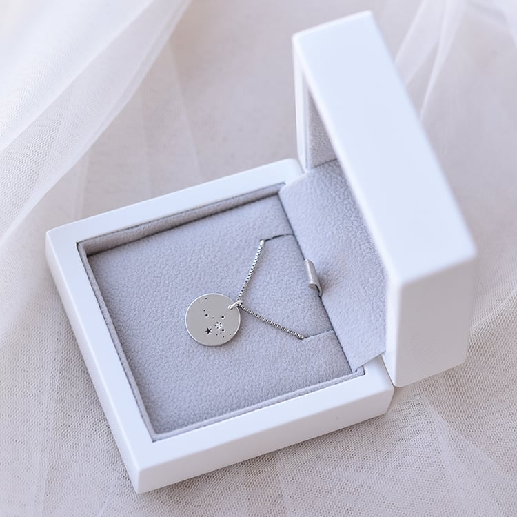 Silberner Anhänger mit Sternbild und Diamant Nyala 60268