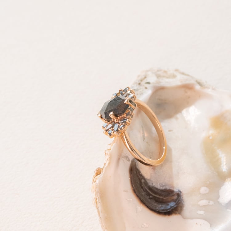 Atypischer Goldring mit Salt and Pepper Diamanten Kacey 100992