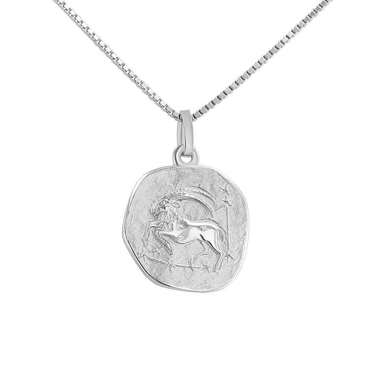 Silberanhänger mit Symbolen des Tierkreiszeichens 136468