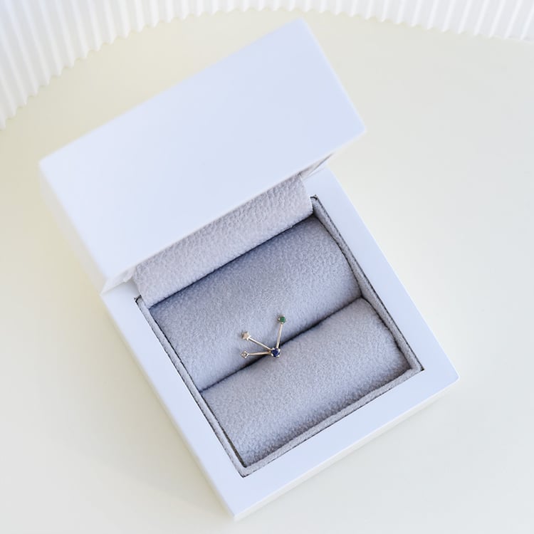 Ohrring mit Sternzeichen Taurus 95201