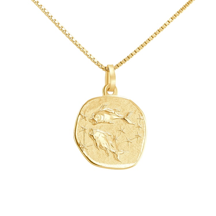 Silberanhänger mit Symbolen des Tierkreiszeichens 136473