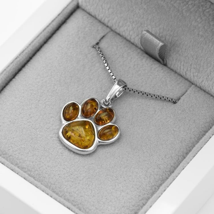 Bernsteinpfote 52069