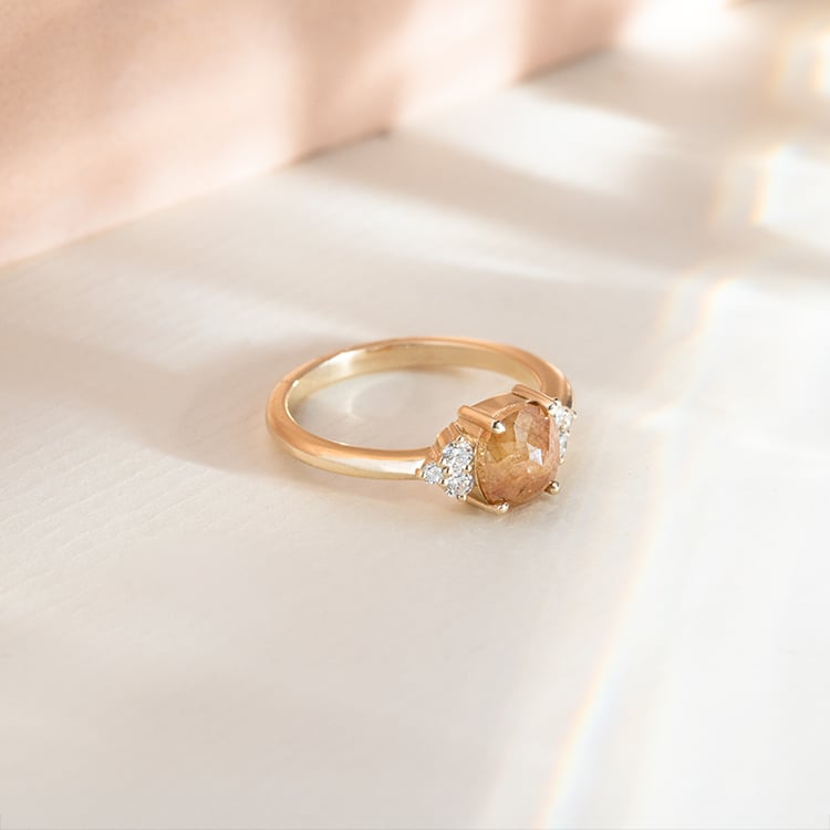 Goldener Ring mit einem Salt and Pepper Diamanten Agathe 151894