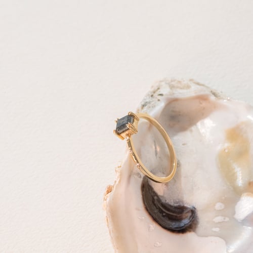 Goldener Ring mit Salt and Pepper Diamanten Emilis