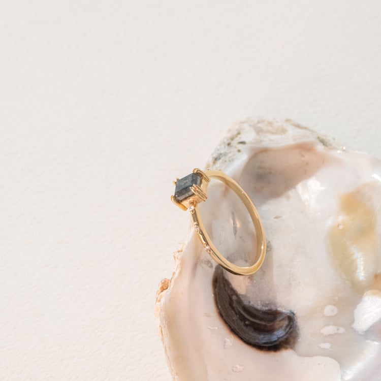 Goldener Ring mit Salt and Pepper Diamanten Emilis 100980