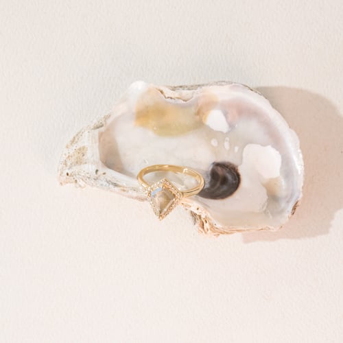 Ring mit Salt and Pepper Diamanten in Kite-Form Bjorn