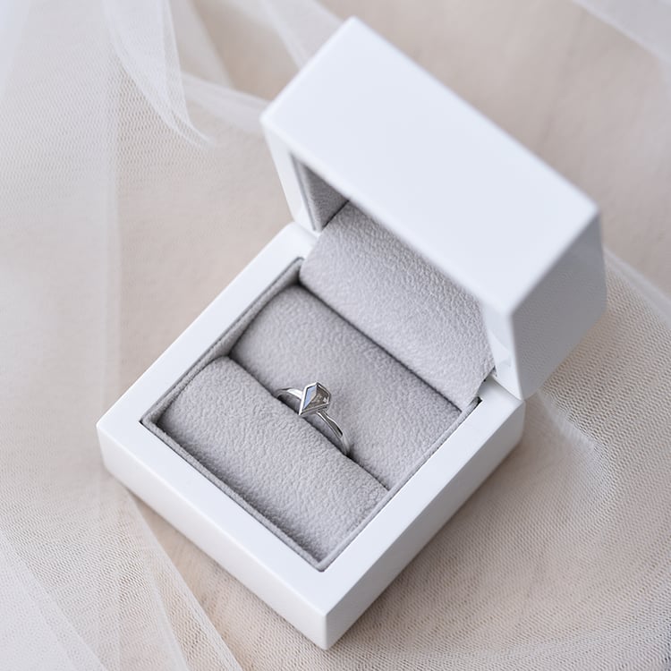 Ring mit Salt and Pepper Diamant Caritta 58308