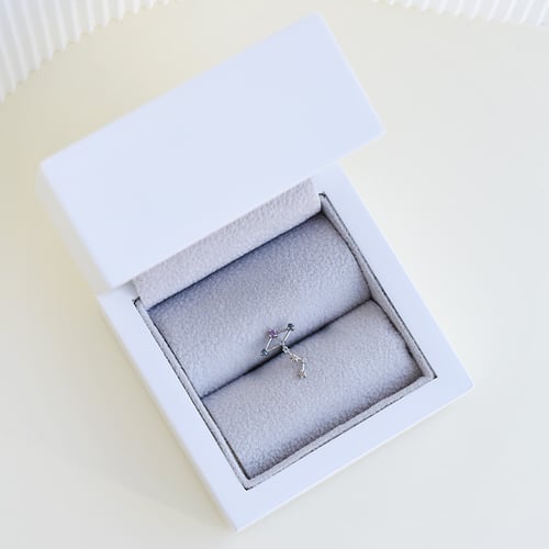 Ohrring mit Sternzeichen Scorpio