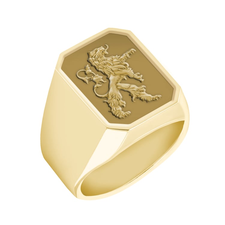 Ring aus Gelbgold 40735