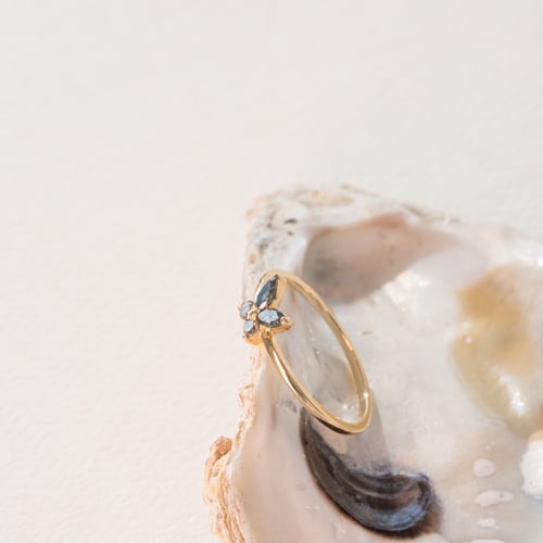 Ring mit Salt and Pepper Diamanten in Schmetterlingsform Romy