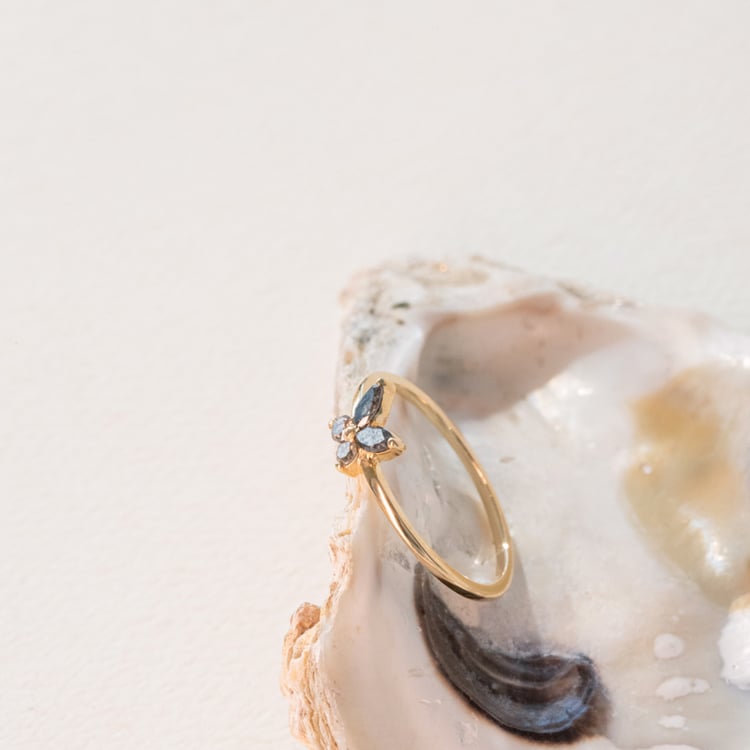 Ring mit Salt and Pepper Diamanten in Schmetterlingsform Romy 100966