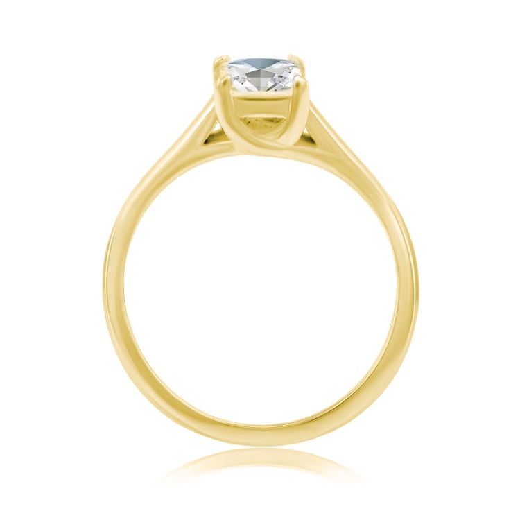 Ring aus Gelbgold 21863