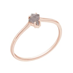 Minimalistischer Ring mit einem Salt and Pepper Diamanten Erebos