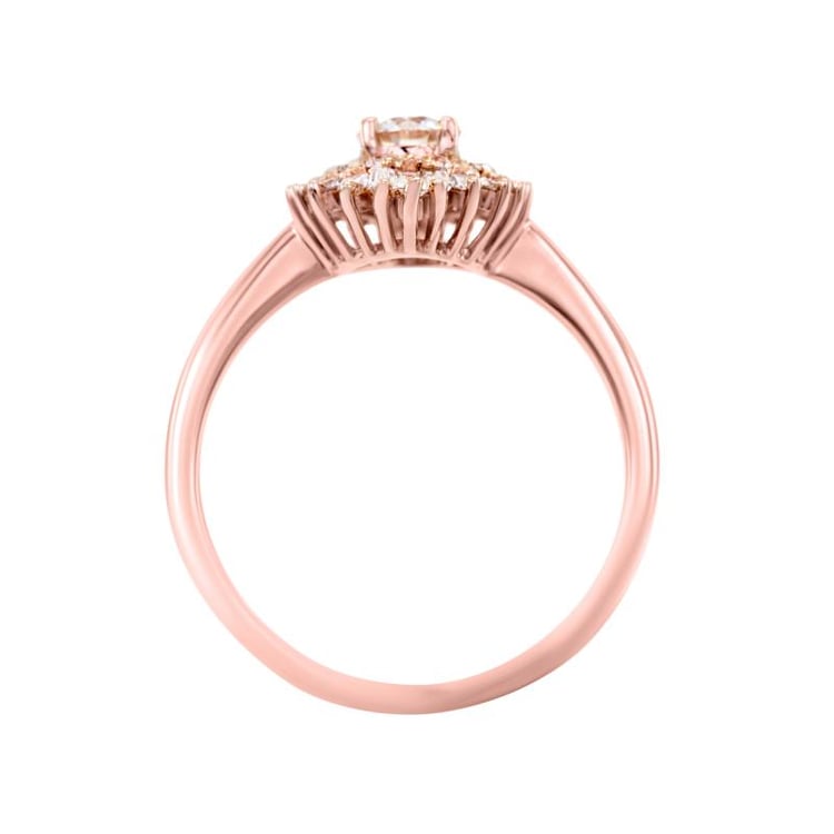 Einzigartiger Verlobungsring aus Gold mit Moissanit und lab-grown Diamanten Deizy 24440