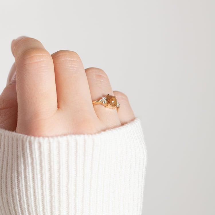 Goldener Ring mit einem Salt and Pepper Diamanten Agathe 151896