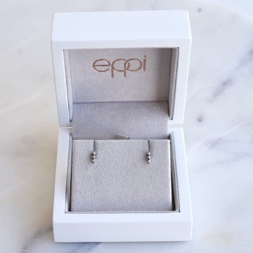 Silberne Ohrringe mit Diamanten Linus