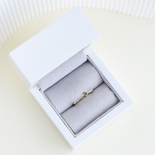 Geflochtener Ring mit einem Salt and Pepper Diamanten Chanice