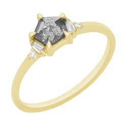 Salt and Pepper Diamant im goldenen Ring Stefan