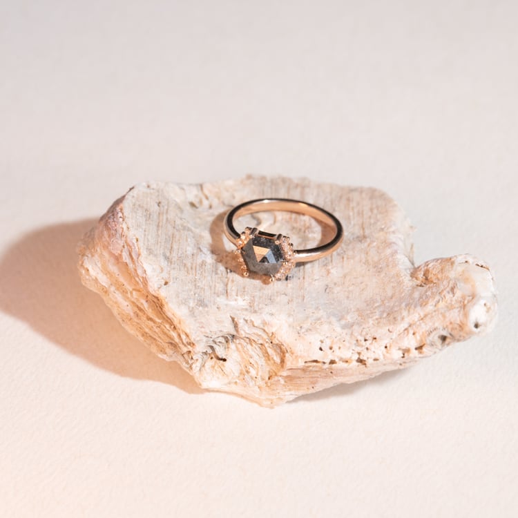 Goldener Ring mit Salt and Pepper Diamanten Wiley 101200