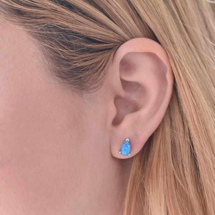 Silberne Ohrringe 18311