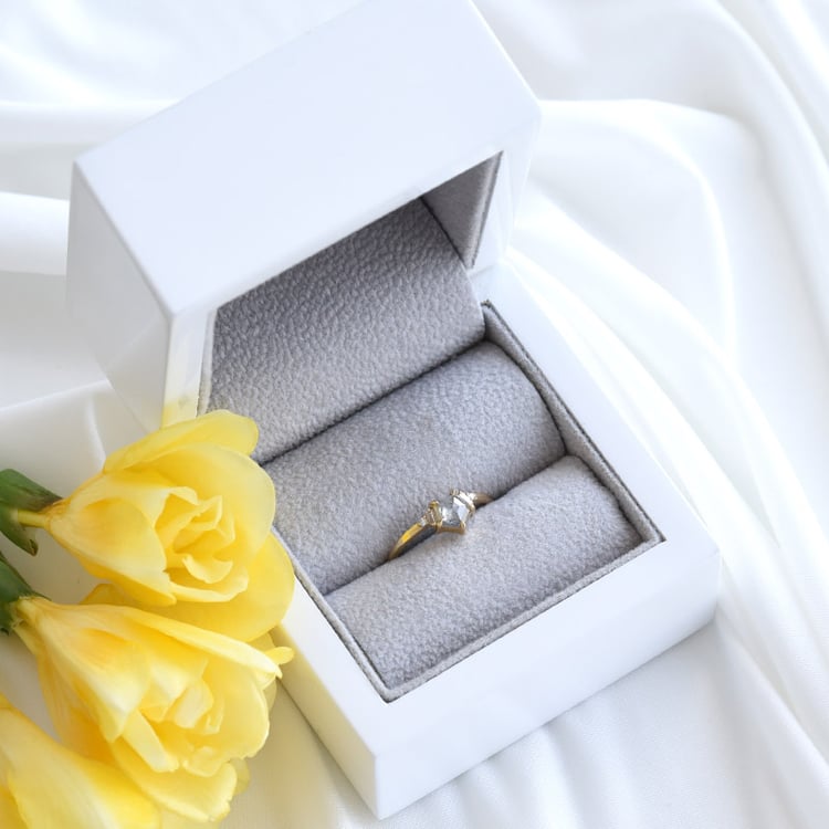 Salt and Pepper Diamant im goldenen Ring Stefan 82462