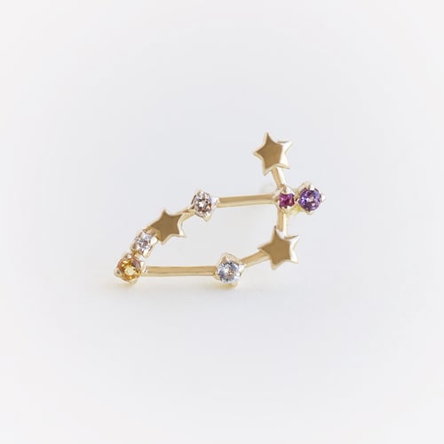 Ohrring mit Sternzeichen Capricorn