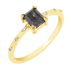 Goldener Ring mit Salt and Pepper Diamanten Emilis