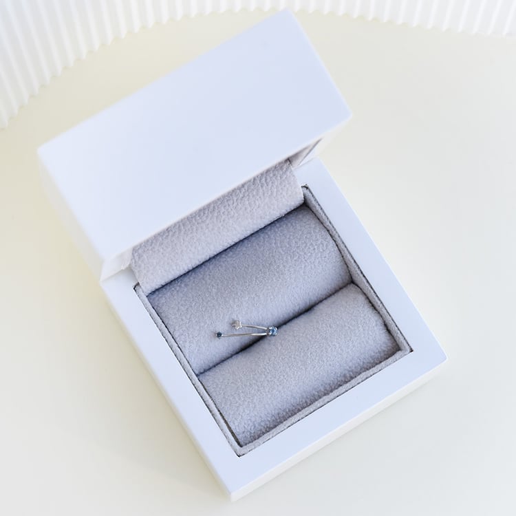 Ohrring mit Sternzeichen Aquarius 95311