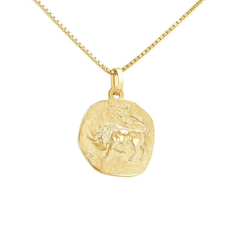 Silberanhänger mit Symbolen des Tierkreiszeichens