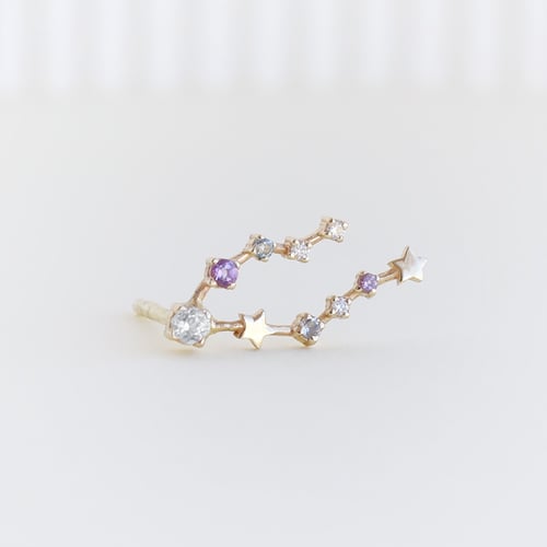 Ohrring mit Sternzeichen Pisces