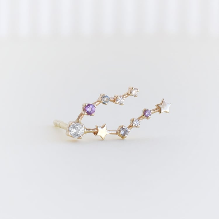 Ohrring mit Sternzeichen Pisces 113227