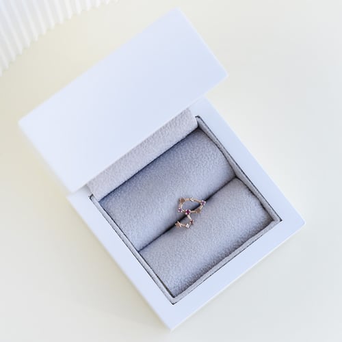 Ohrring mit Sternzeichen Leo