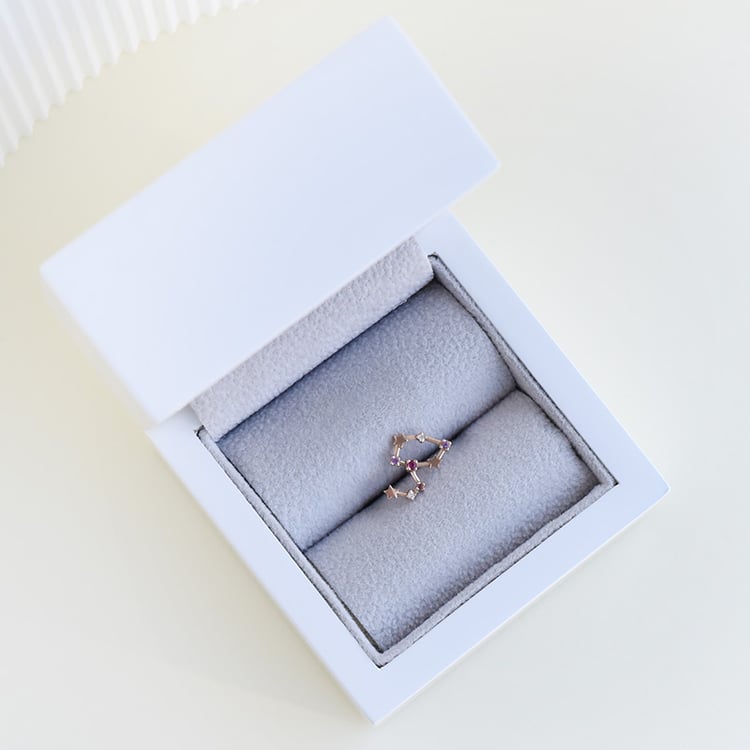 Ohrring mit Sternzeichen Leo 95319