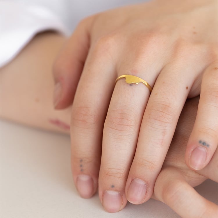 Ring mit einem versteckten Elefanten Der Kleine Prinz 122301