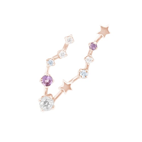 Ohrring mit Sternzeichen Pisces