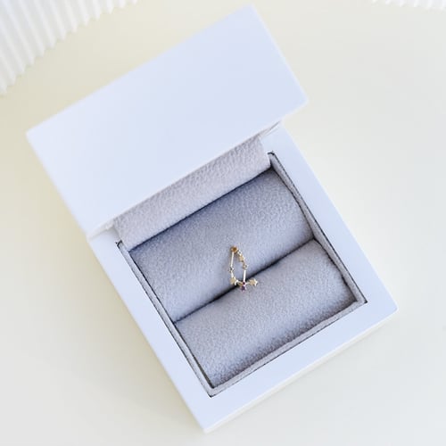 Ohrring mit Sternzeichen Capricorn