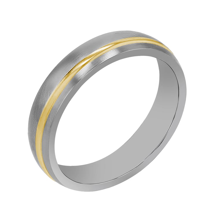 Eheringe aus Titan und Gold Gould 107423