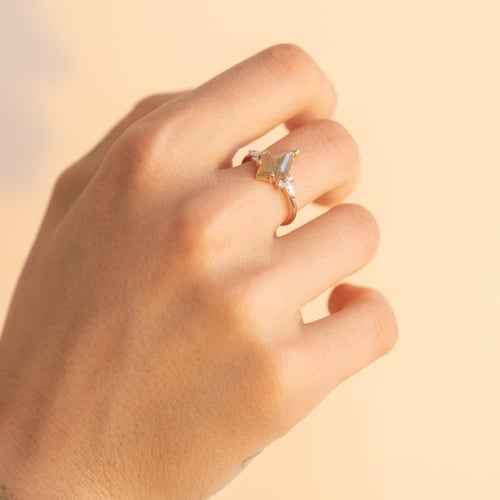 Ring mit Salt and Pepper Diamant Isabela