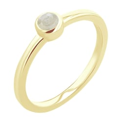 Minimalistischer Ring mit einem Salt and Pepper Diamanten Emilien