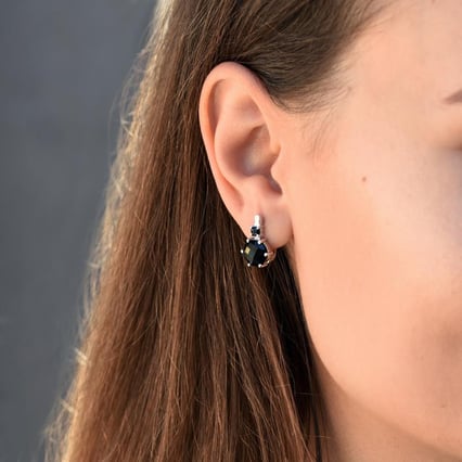 Elegante Ohrhänger mit schwarzem Onyx Amari