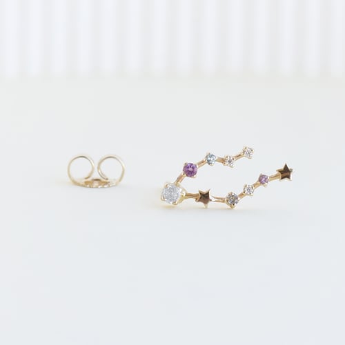 Ohrring mit Sternzeichen Pisces