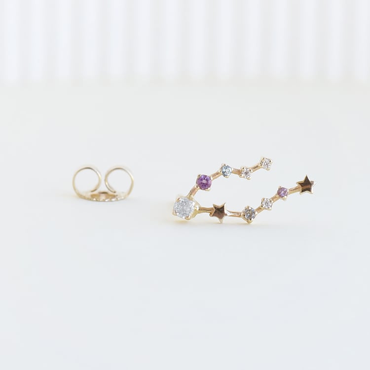 Ohrring mit Sternzeichen Pisces 113228