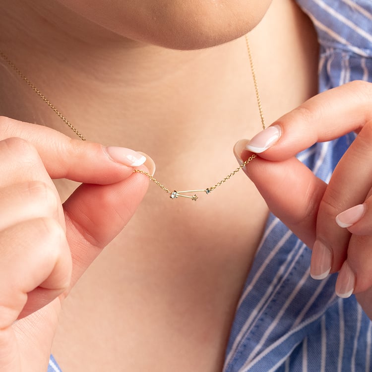 Halskette mit Tierkreiszeichen Aquarius 138771