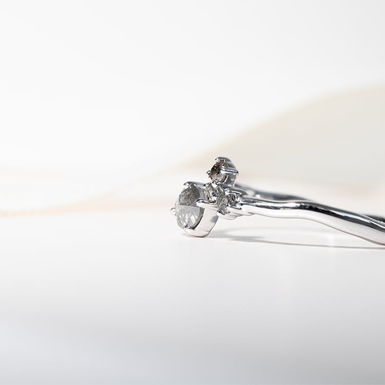 Silberner Cluster-Ring mit Salt and Pepper Diamanten Roche 127769