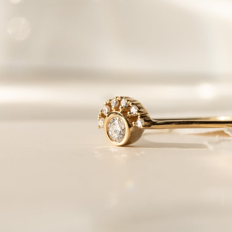 Ring mit einem halben Halo mit Diamanten Jorg 152318