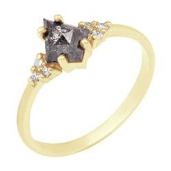 Origineller Ring mit einem Salt and Pepper Diamanten Nele