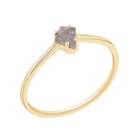 Minimalistischer Ring mit einem Salt and Pepper Diamanten Erebos