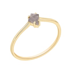 Minimalistischer Ring mit einem Salt and Pepper Diamanten Erebos